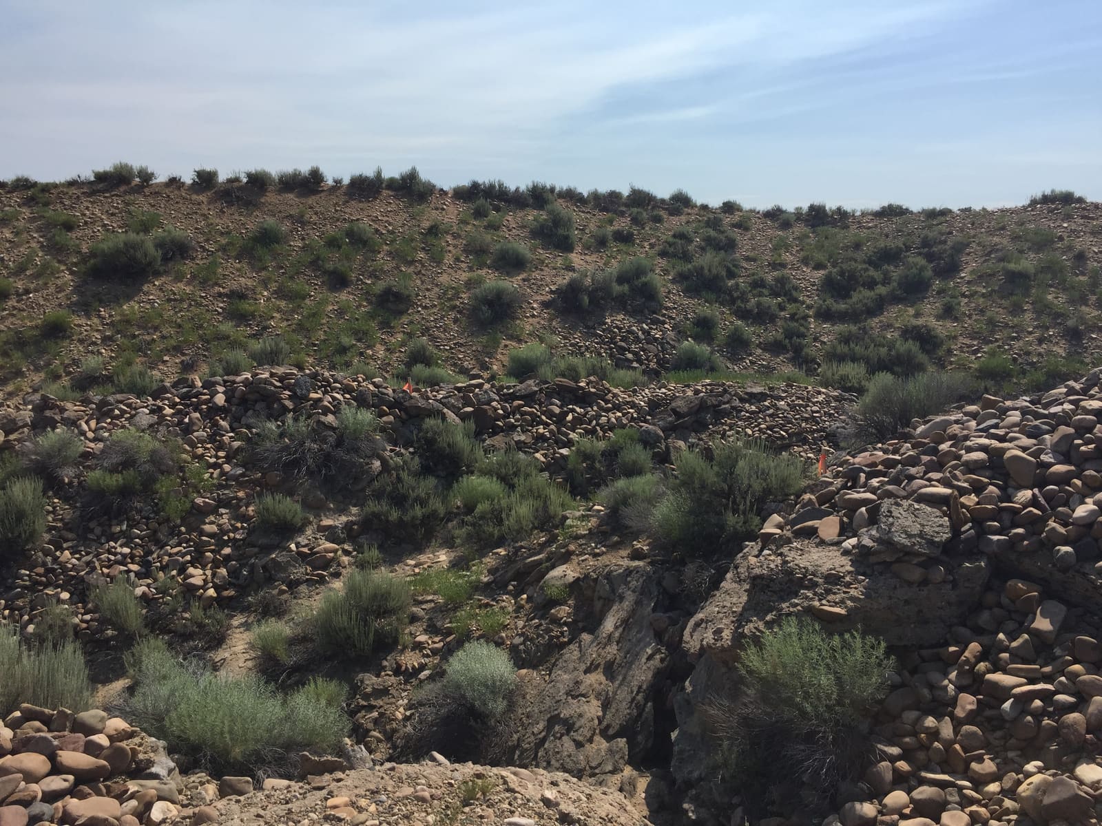 A line of hand-stacked cobbles from nineteenth-century placer workings, still standing in the sagebrush.