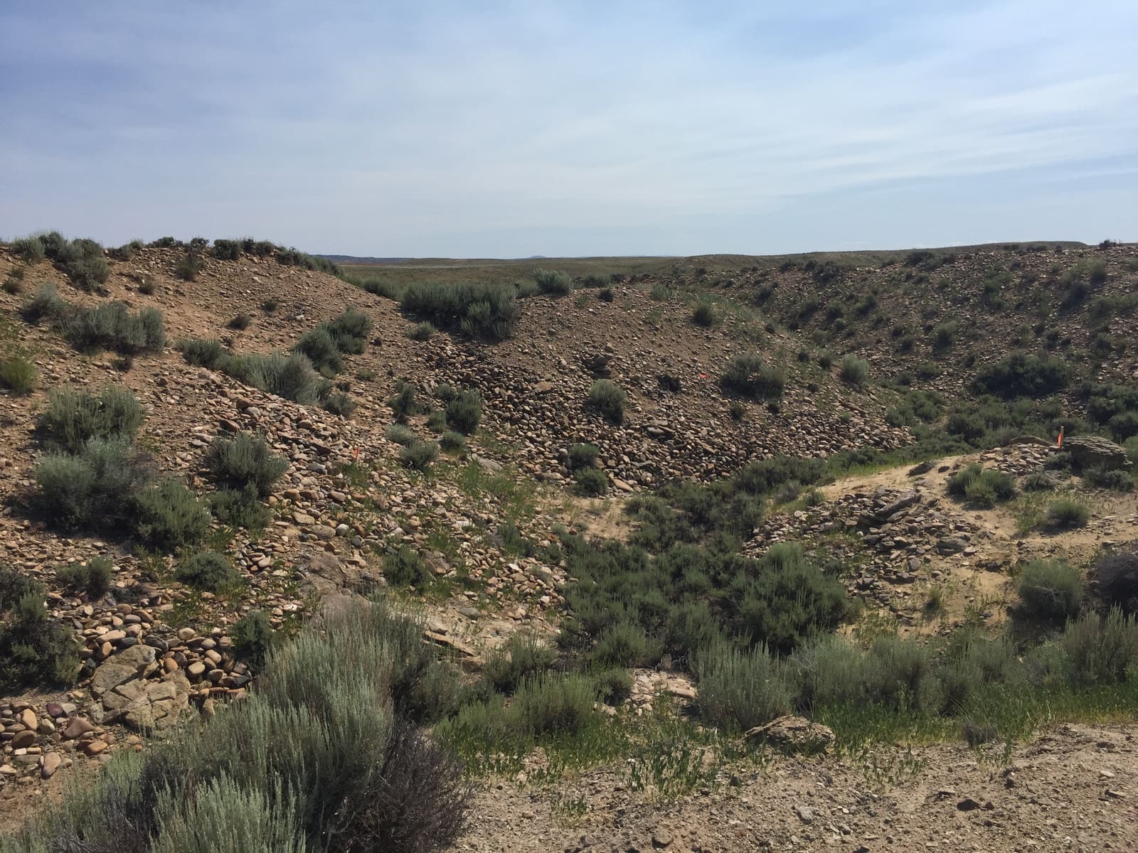 Historic placer workings — a gully worked by hand in the 1890s, its stacked cobbles still visible.