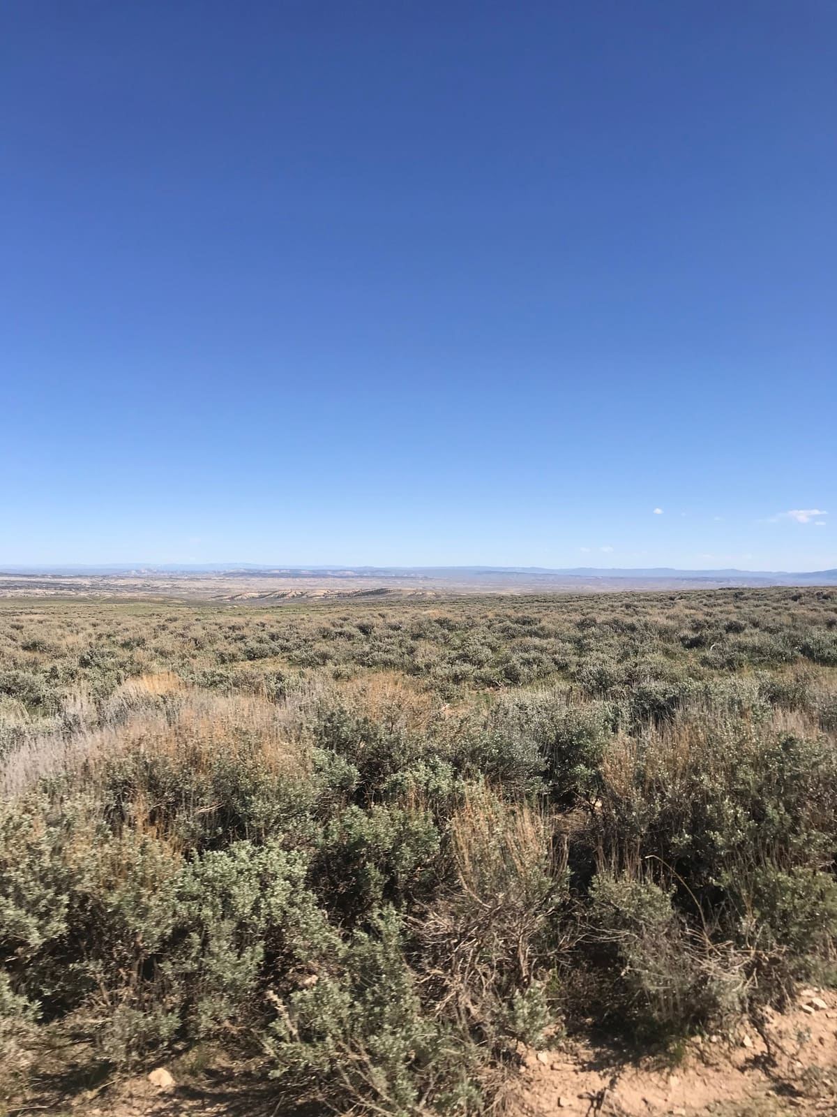 A wide expanse of sagebrush terrace country under a clear sky, stretching to distant bluffs.