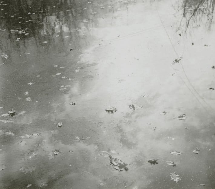 Human/Nature — view 11 of 11