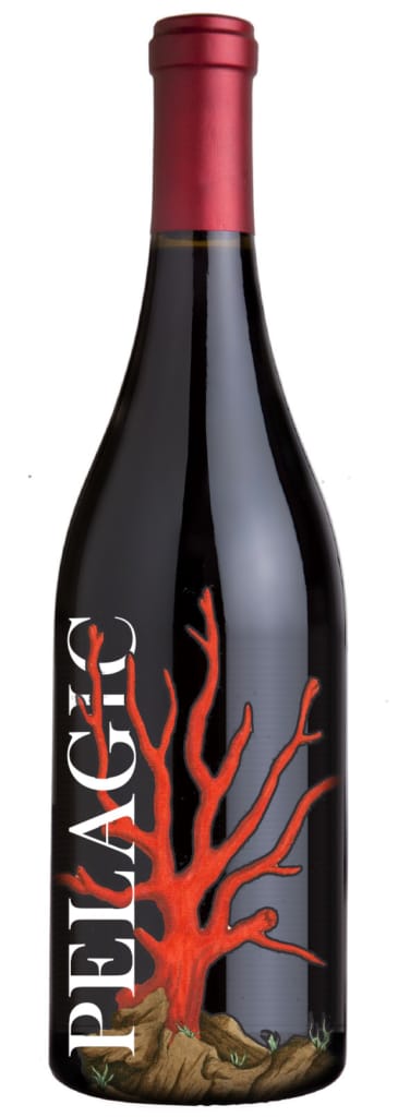 Wine Label Studies