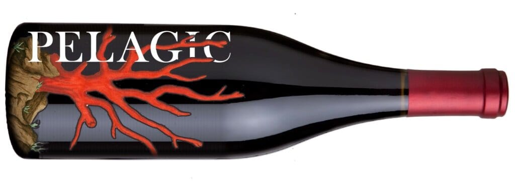 Wine Label Studies — view 3 of 3
